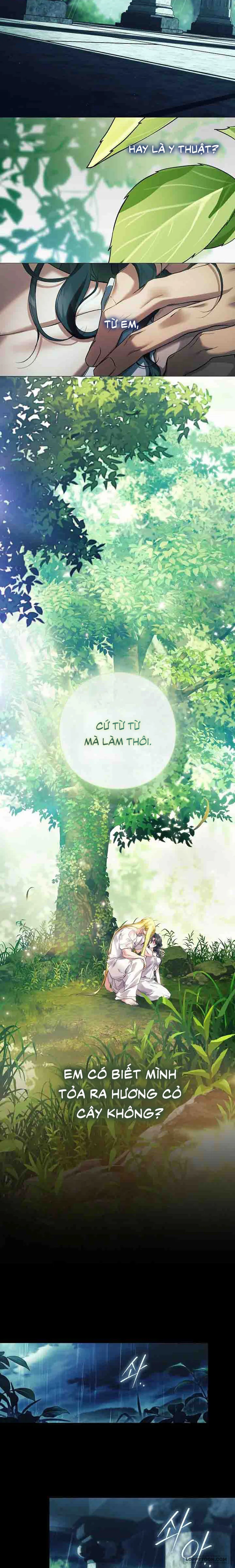 [19+] Dành Cho Các Nữ Thần: Dành Cho Daphne - Chap 36 - Trang 14