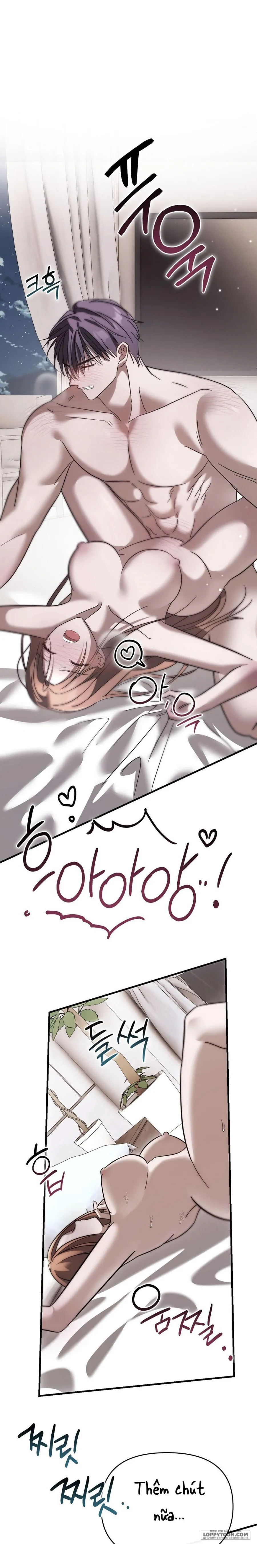 [19+] Đêm Mùa Hạ - Chap 11 - 🔞🔞🔞 - Trang 0