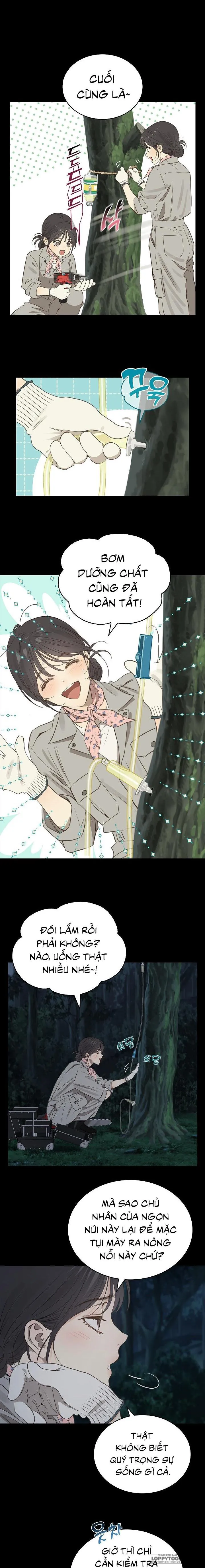 [19+] Đóa Hoa Là Mồi Nhử - Chap 1 - Trang 2