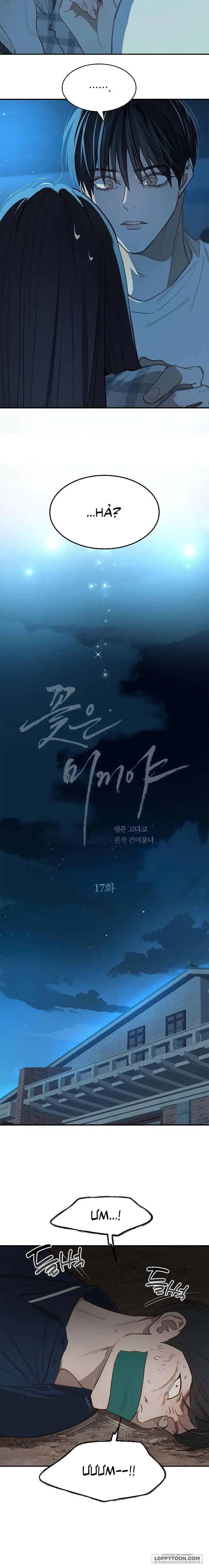 [19+] Đóa Hoa Là Mồi Nhử - Chap 17 - Trang 1