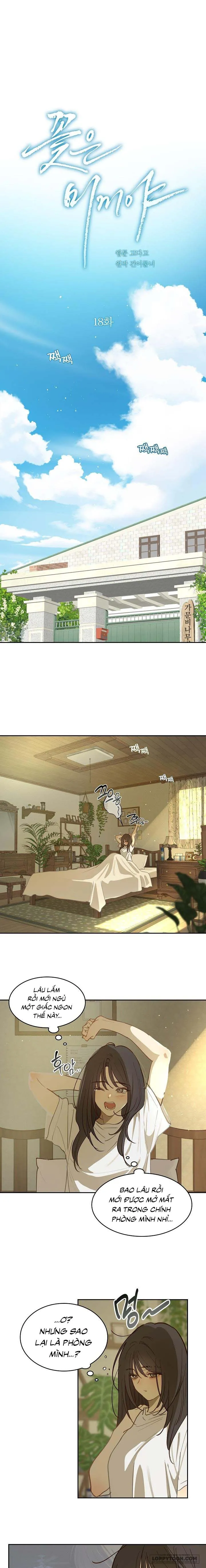 [19+] Đóa Hoa Là Mồi Nhử - Chap 18 - Trang 0
