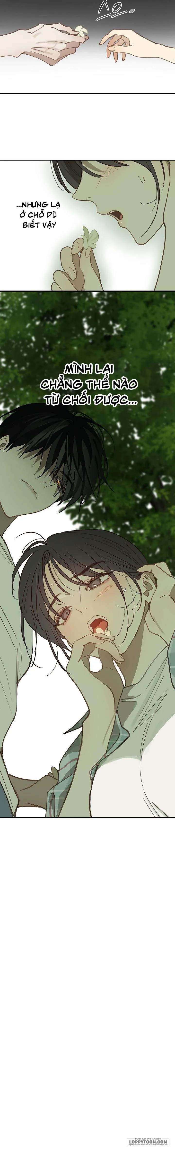 [19+] Đóa Hoa Là Mồi Nhử - Chap 18 - Trang 16