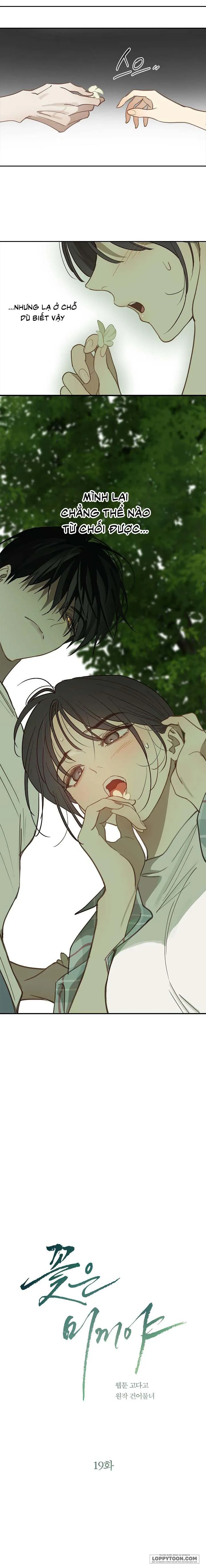 [19+] Đóa Hoa Là Mồi Nhử - Chap 19 - Trang 1