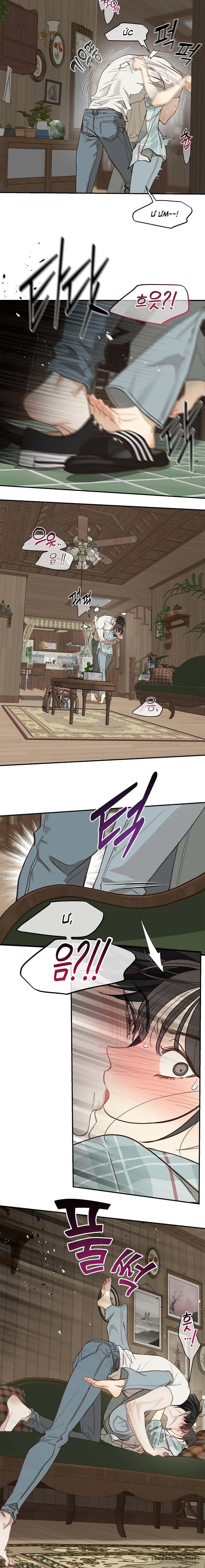 [19+] Đóa Hoa Là Mồi Nhử - Chap 19 - Trang 11