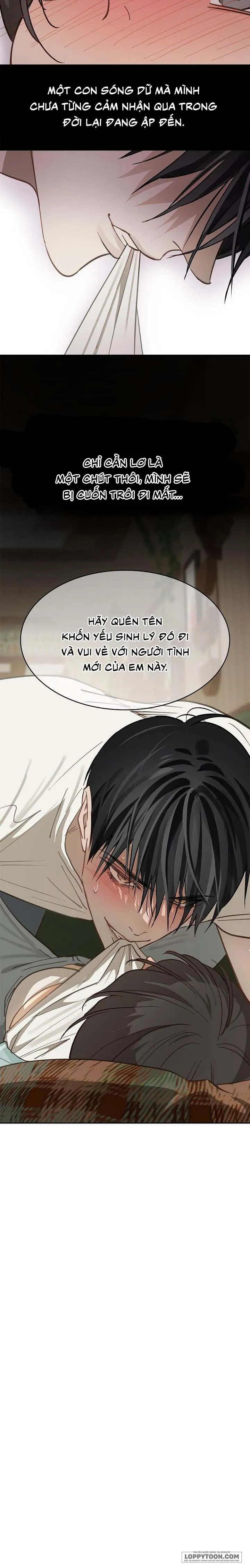 [19+] Đóa Hoa Là Mồi Nhử - Chap 19 - Trang 17