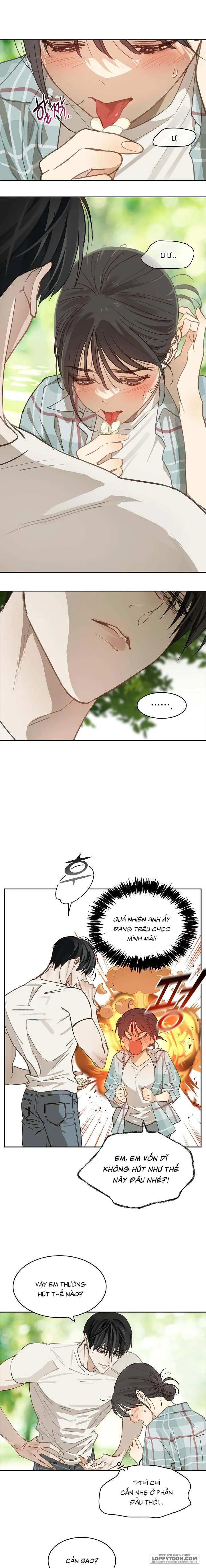 [19+] Đóa Hoa Là Mồi Nhử - Chap 19 - Trang 2