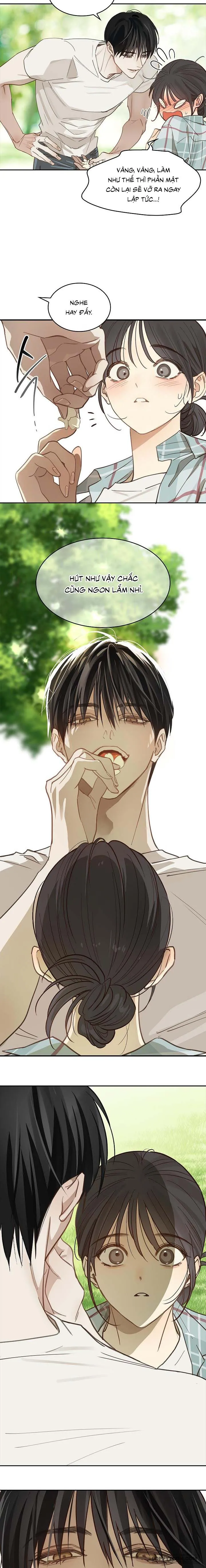 [19+] Đóa Hoa Là Mồi Nhử - Chap 19 - Trang 3