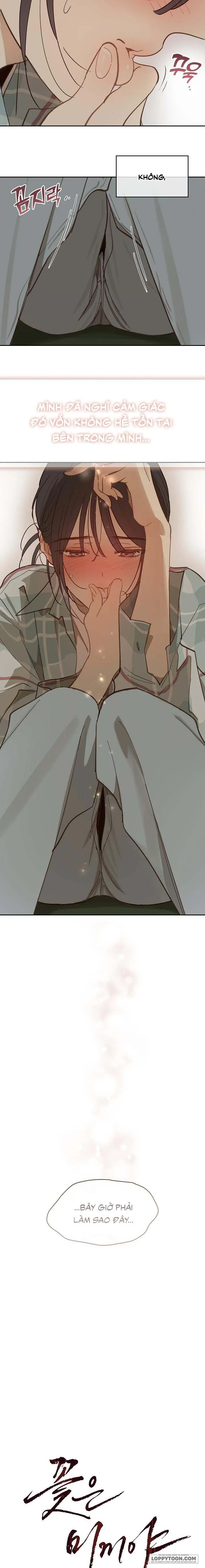 [19+] Đóa Hoa Là Mồi Nhử - Chap 20 - Trang 7