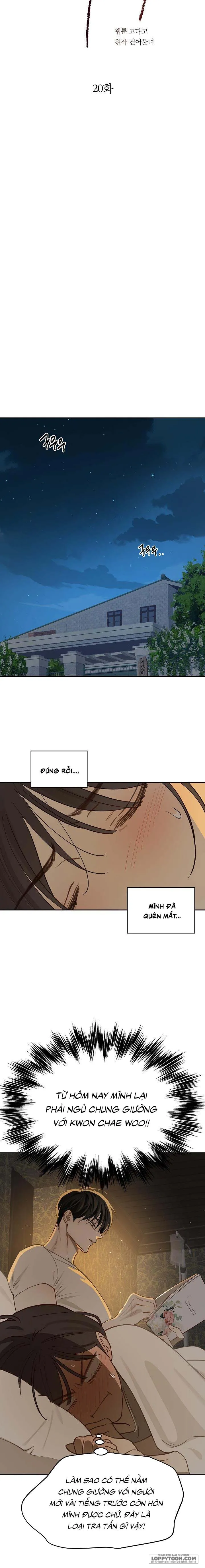 [19+] Đóa Hoa Là Mồi Nhử - Chap 20 - Trang 8