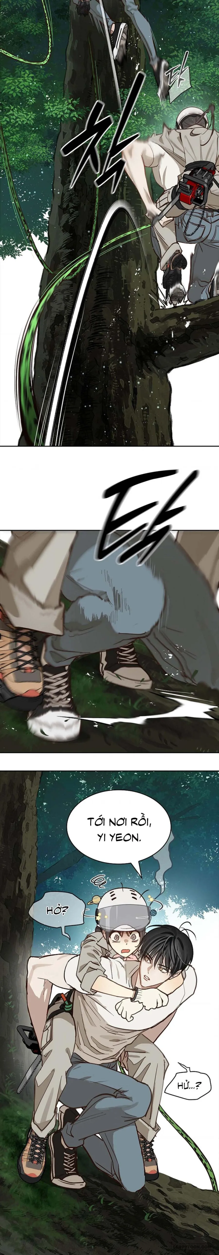 [19+] Đóa Hoa Là Mồi Nhử - Chap 22 - Trang 12