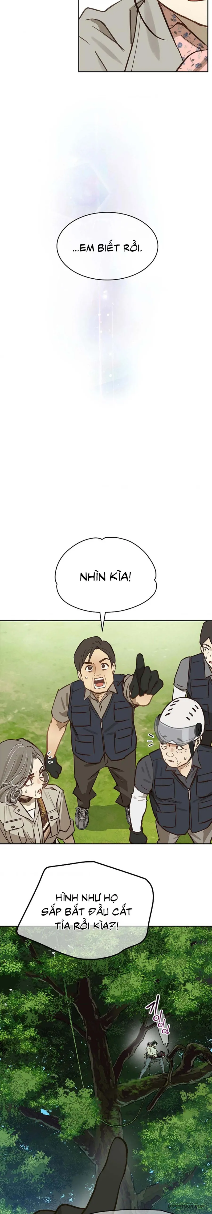 [19+] Đóa Hoa Là Mồi Nhử - Chap 22 - Trang 14