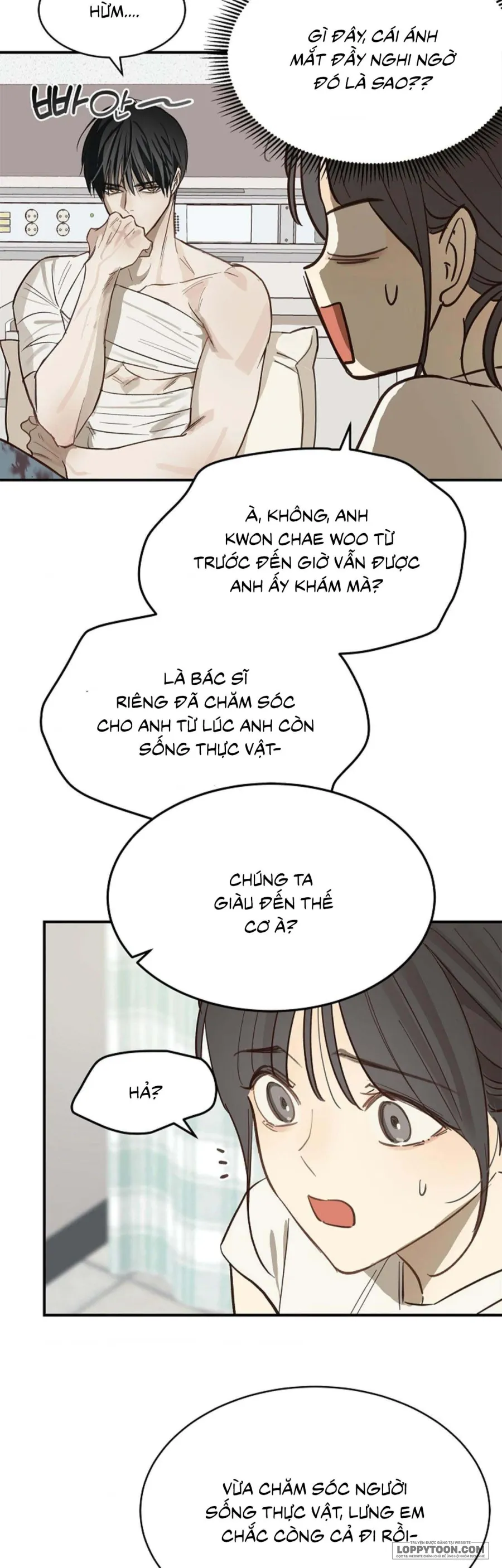 [19+] Đóa Hoa Là Mồi Nhử - Chap 27 - Trang 45