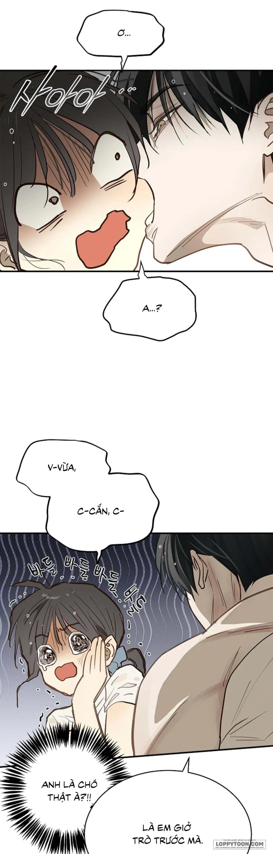 [19+] Đóa Hoa Là Mồi Nhử - Chap 29 - Trang 33