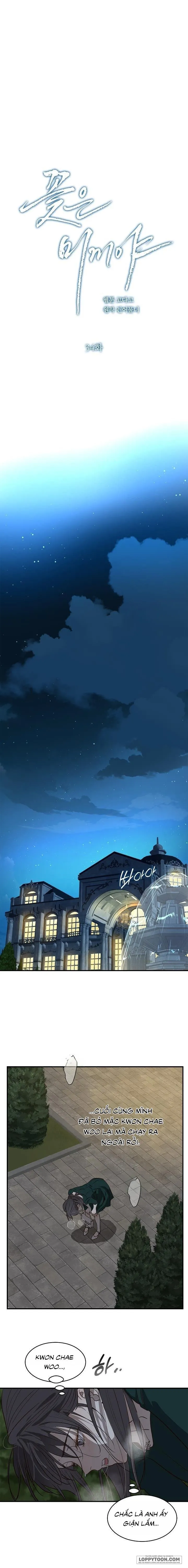 [19+] Đóa Hoa Là Mồi Nhử - Chap 34 - Trang 16