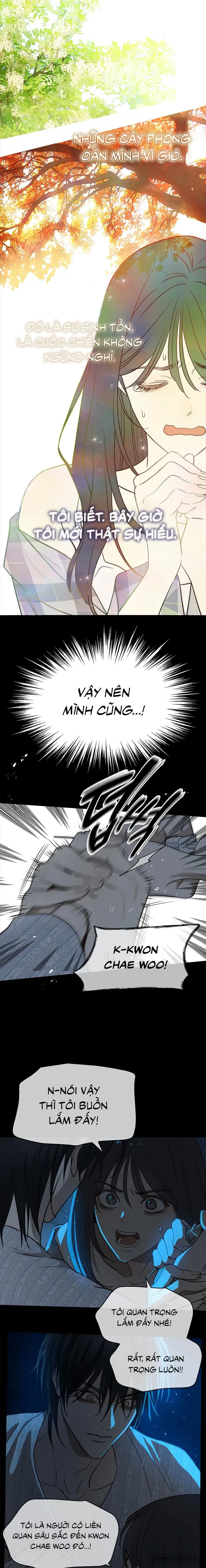 [19+] Đóa Hoa Là Mồi Nhử - Chap 4 - Trang 1