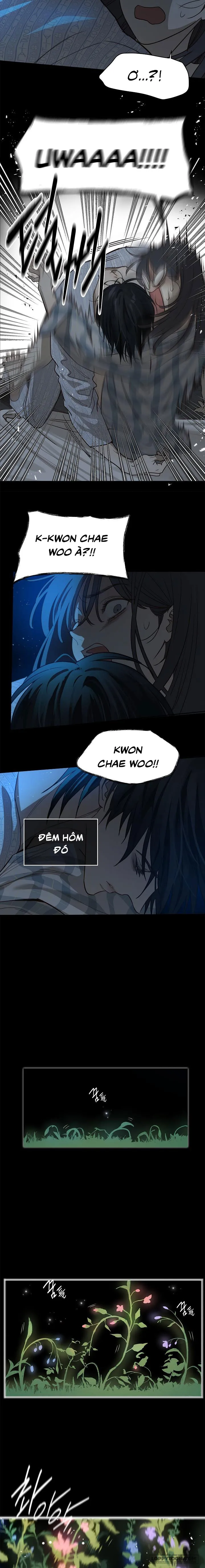 [19+] Đóa Hoa Là Mồi Nhử - Chap 4 - Trang 9