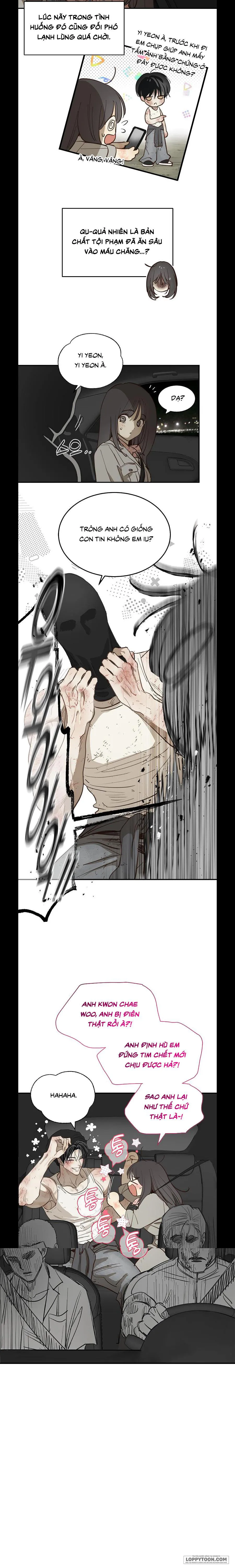 [19+] Đóa Hoa Là Mồi Nhử - Chap 42 - Trang 10