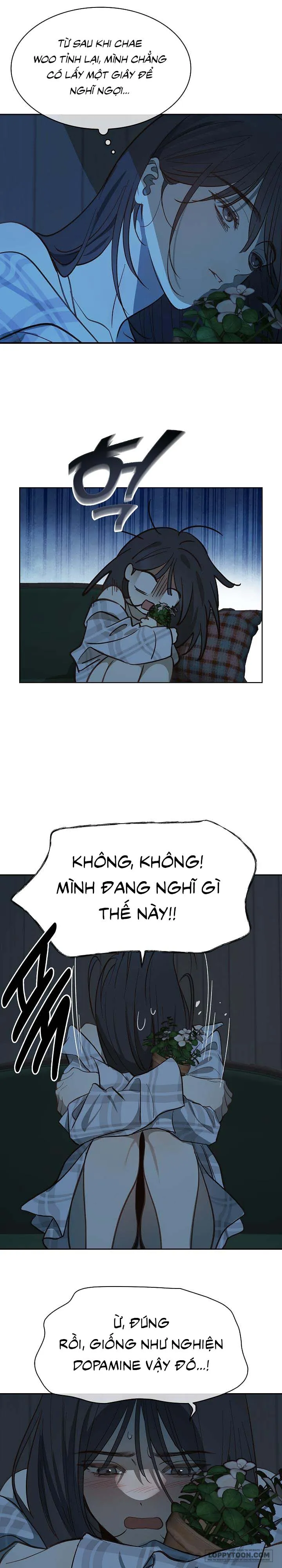 [19+] Đóa Hoa Là Mồi Nhử - Chap 9 - Trang 18