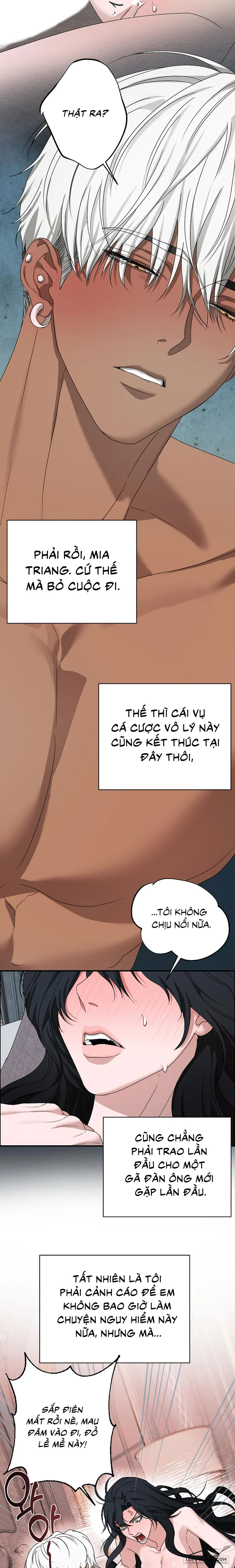 [19+] Màn Đêm Thức Tỉnh - Chap 3 - 🔞🔞🔞 - Trang 3