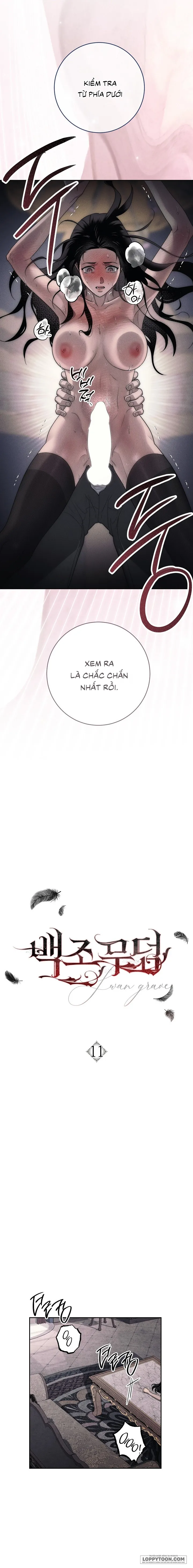 [19+] Mộ Thiên Nga - Chap 11 - 🔞🔞🔞 - Trang 0