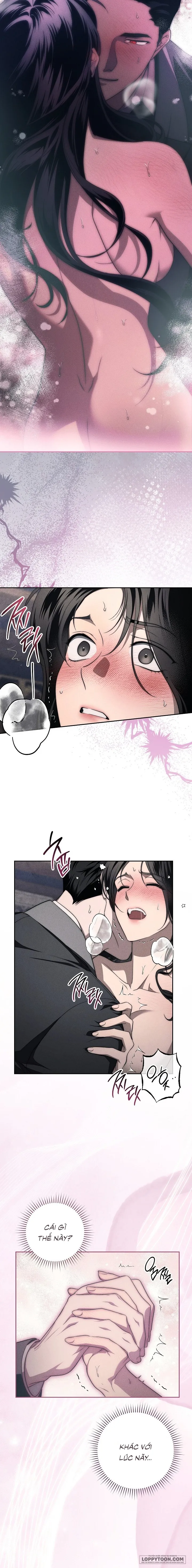 [19+] Mộ Thiên Nga - Chap 11 - 🔞🔞🔞 - Trang 7