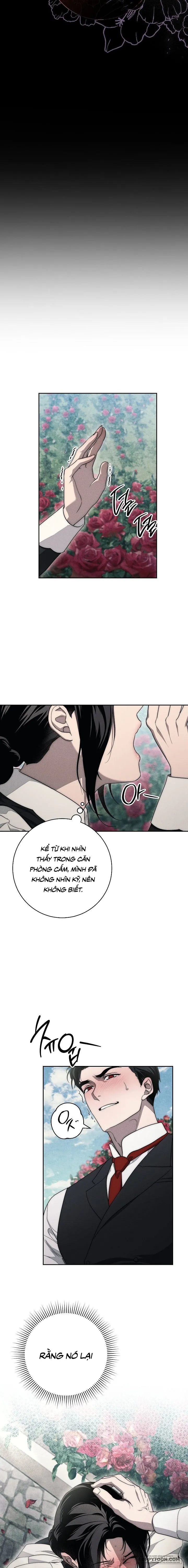 [19+] Mộ Thiên Nga - Chap 17 - Trang 1