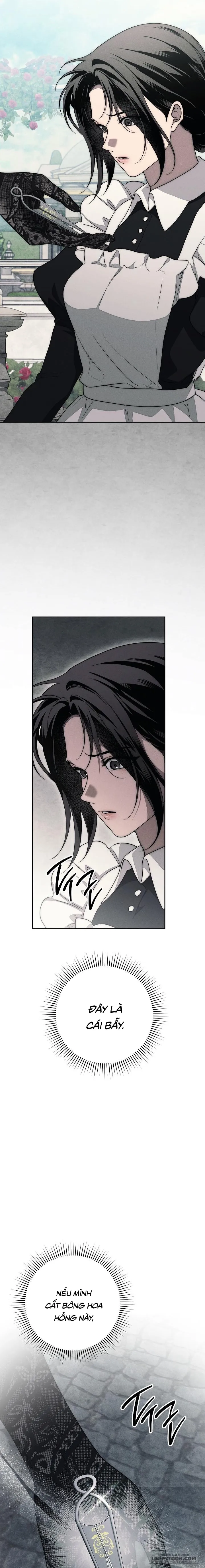[19+] Mộ Thiên Nga - Chap 22 - Trang 19