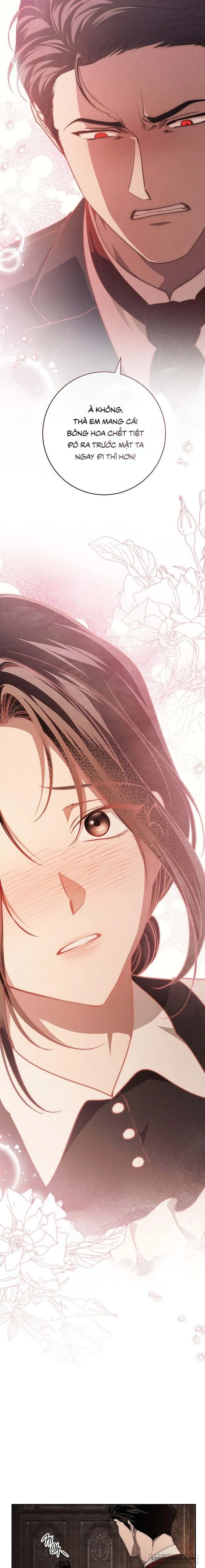 [19+] Mộ Thiên Nga - Chap 24 - Trang 14