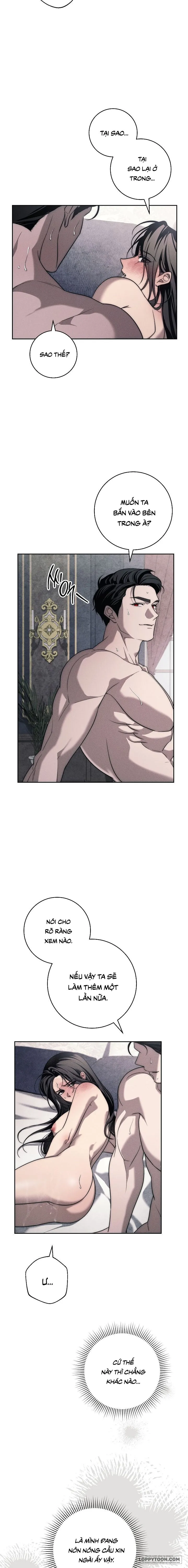 [19+] Mộ Thiên Nga - Chap 27 - 🔞🔞🔞 - Trang 8