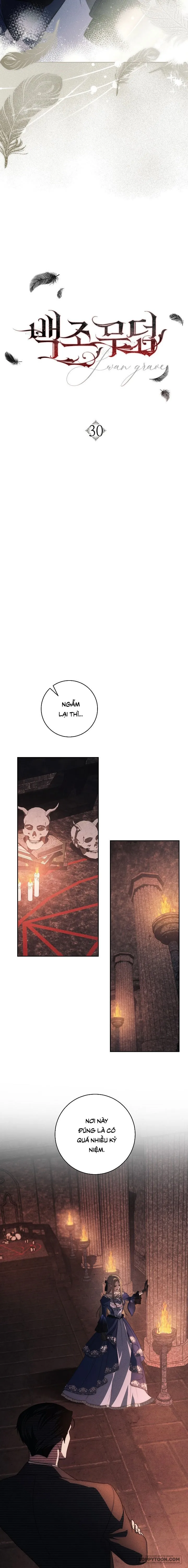 [19+] Mộ Thiên Nga - Chap 30 - Trang 8