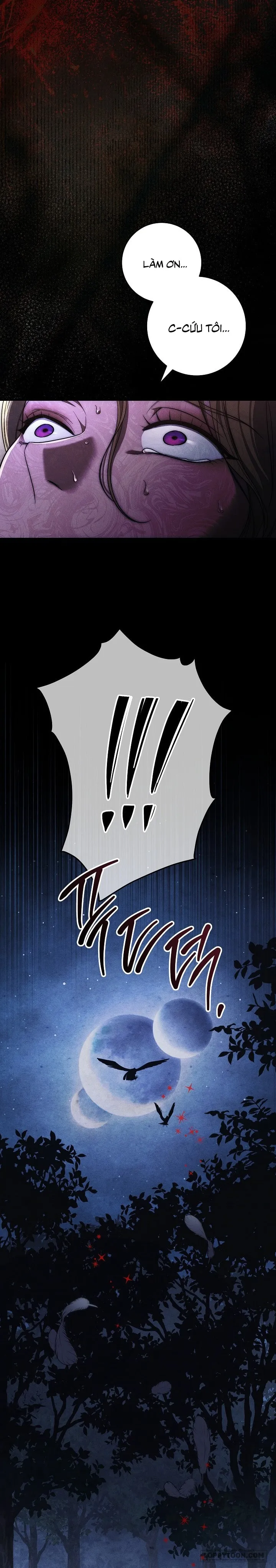 [19+] Mộ Thiên Nga - Chap 34 - Trang 19