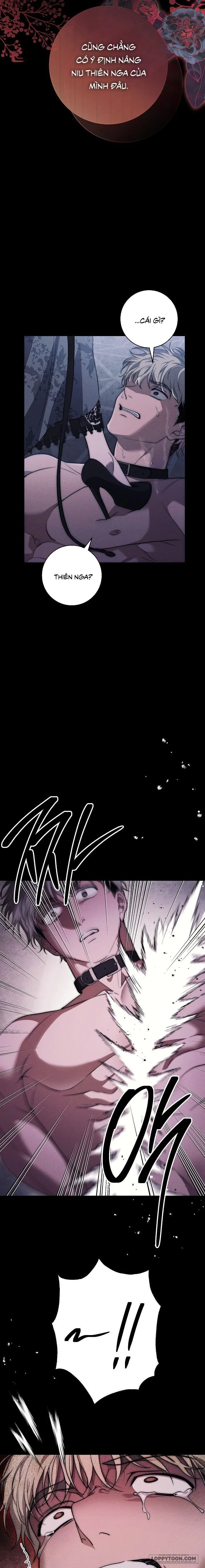 [19+] Mộ Thiên Nga - Chap 36 - Trang 11
