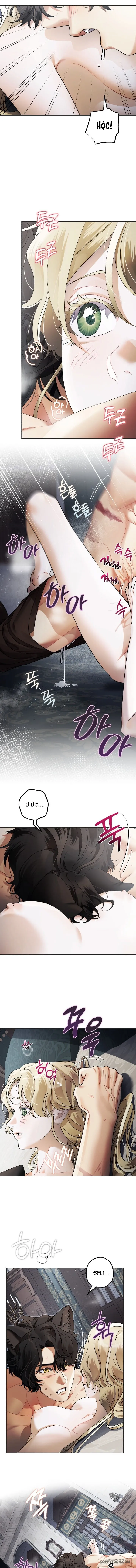 [19+] Quái Thú Ở Dinh Thự Albard - Chap 18 - 🔞🔞🔞🔞 - Trang 6