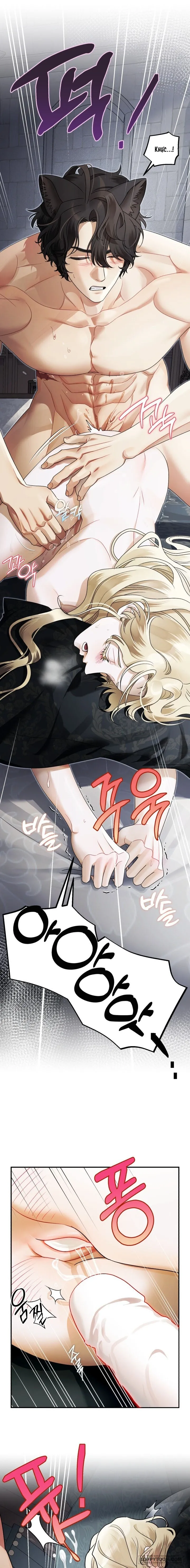 [19+] Quái Thú Ở Dinh Thự Albard - Chap 19 - 🔞🔞🔞 - Trang 8