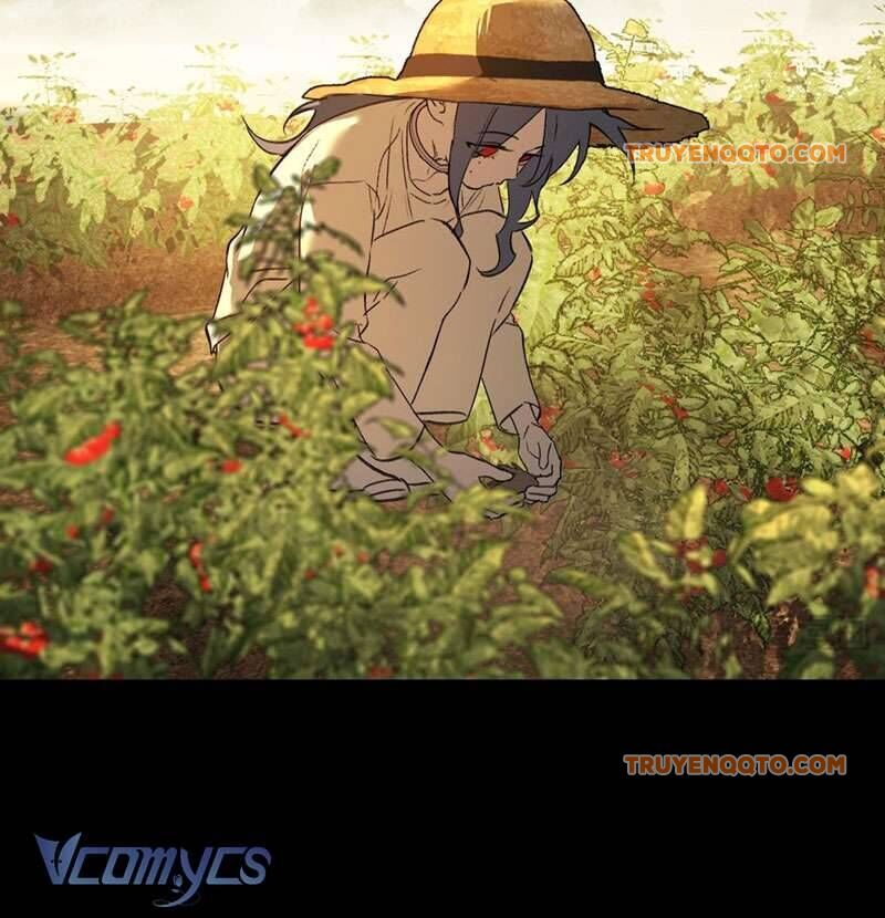 Ác Chi Hoàn - Chap 23 - Trang 11