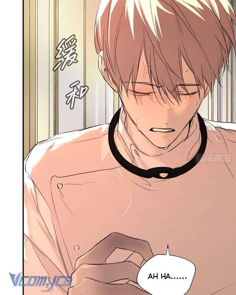 Ác Chi Hoàn - Chap 53 - Trang 122