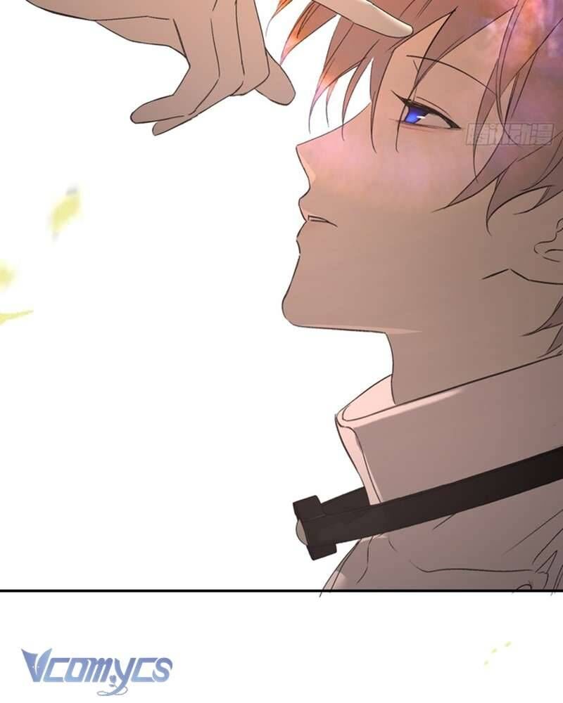 Ác Chi Hoàn - Chap 54 - Trang 54