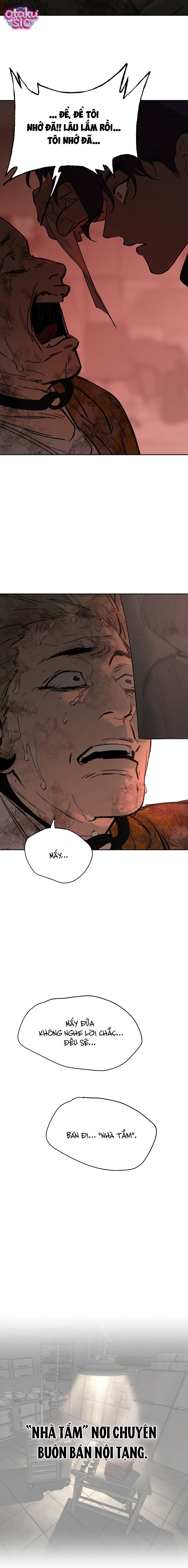 Ác Chi Hoàn - Chap 81 - Trang 11
