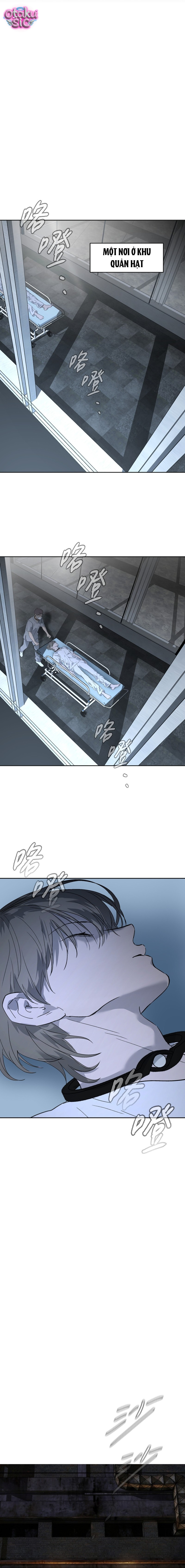 Ác Chi Hoàn - Chap 81 - Trang 12