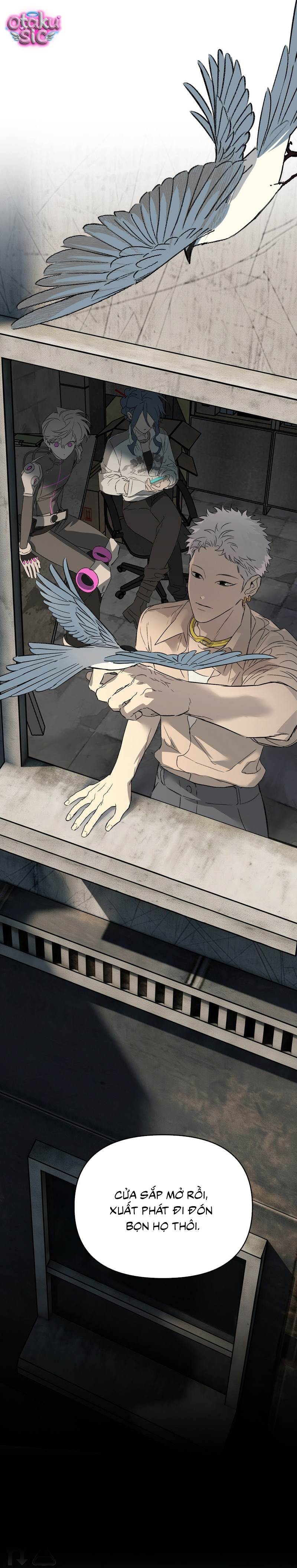 Ác Chi Hoàn - Chap 87 - Trang 5
