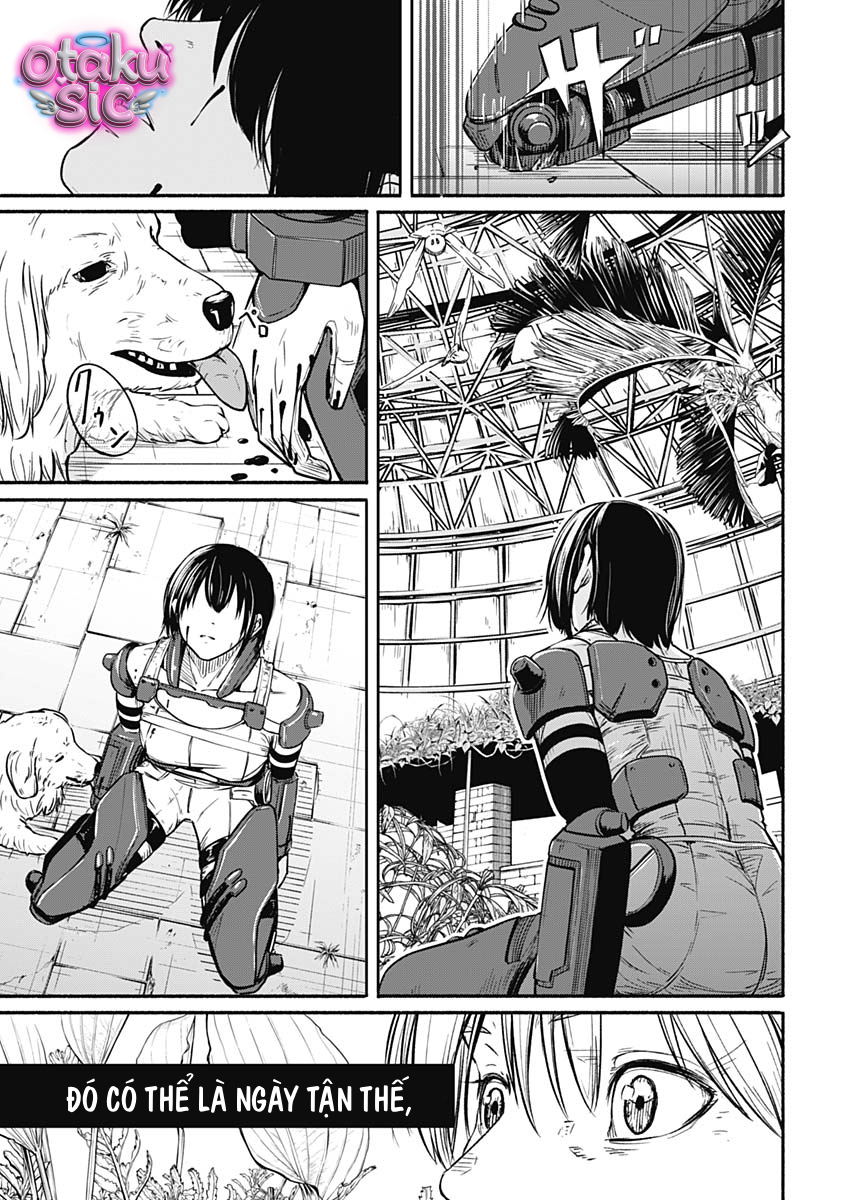 Alma - Chap 24