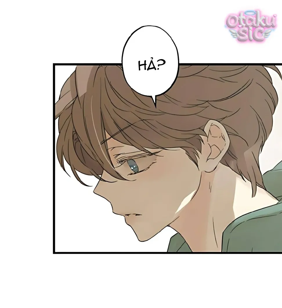 Ẩn Sau Cách Rừng - Chap 14 - Trang 15