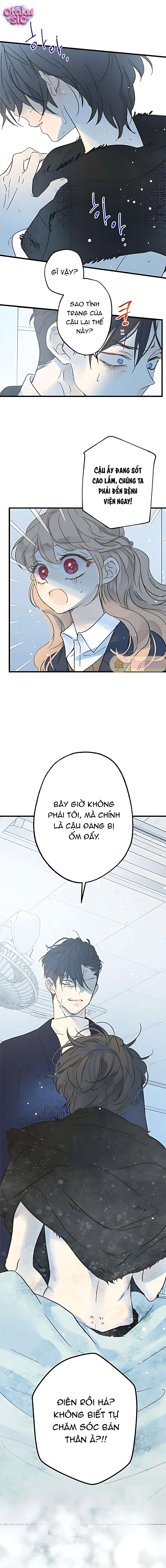 Ẩn Sau Cách Rừng - Chap 23 - Trang 3