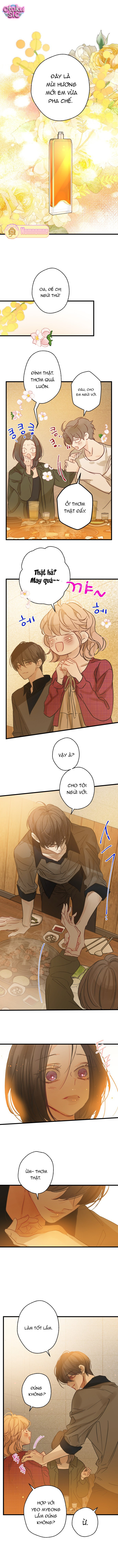 Ẩn Sau Cách Rừng - Chap 32