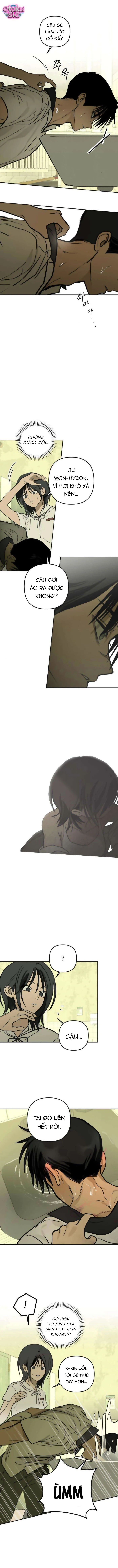 Ánh Nắng Nơi Hầm Trú Ẩn - Chap 19 - Trang 5
