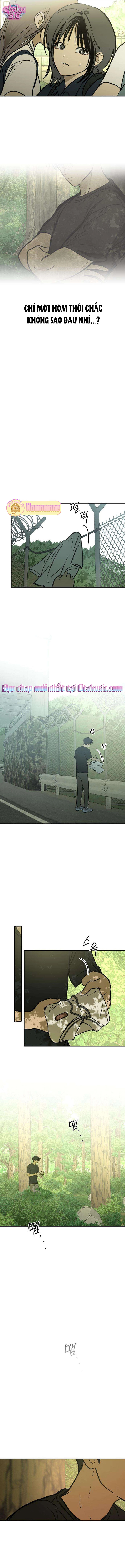 Ánh Nắng Nơi Hầm Trú Ẩn - Chap 31 - Trang 8
