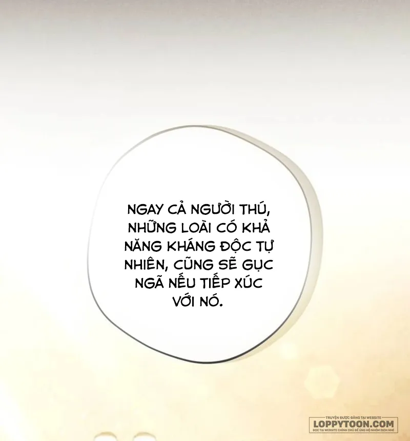 Bạo Chúa Độc Ác Trở Lại - Chap 35 - Trang 55