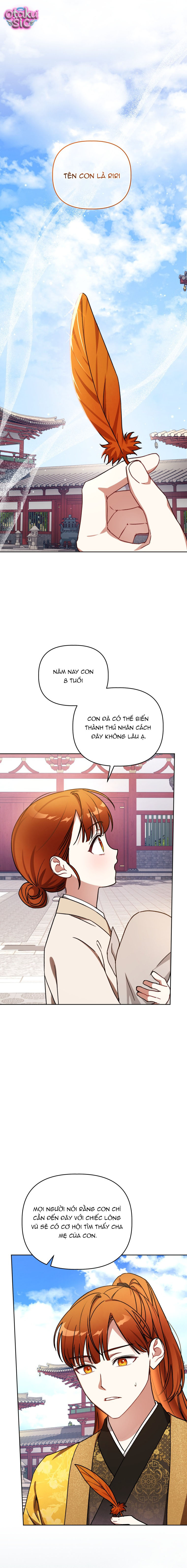 Bé Cưng Bông Xù Nhà Bạch Hổ - Chap 2 - Trang 2