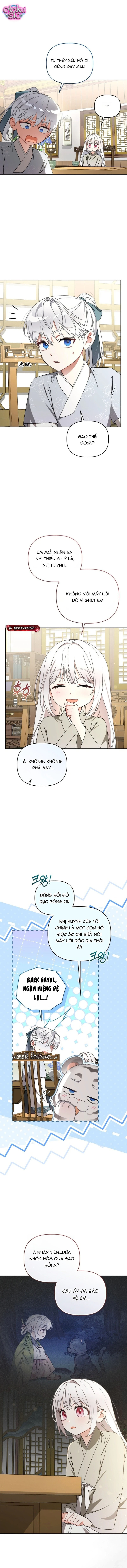 Bé Cưng Bông Xù Nhà Bạch Hổ - Chap 20 - Trang 7