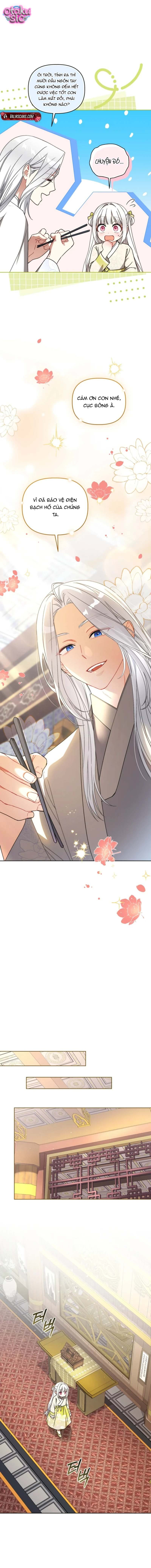 Bé Cưng Bông Xù Nhà Bạch Hổ - Chap 21 - Trang 8